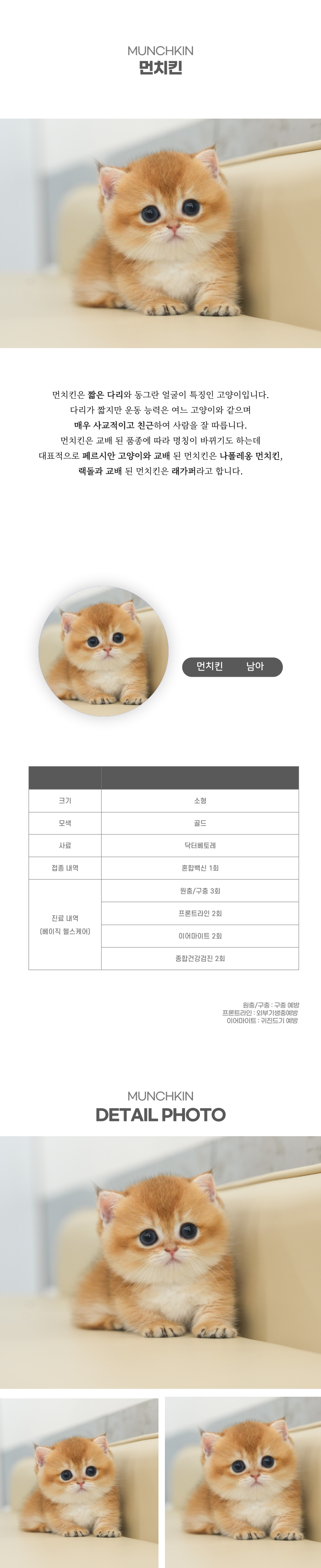 먼치킨_상세이미지_2